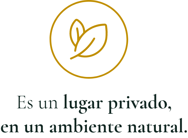Grupo 3914@2x
